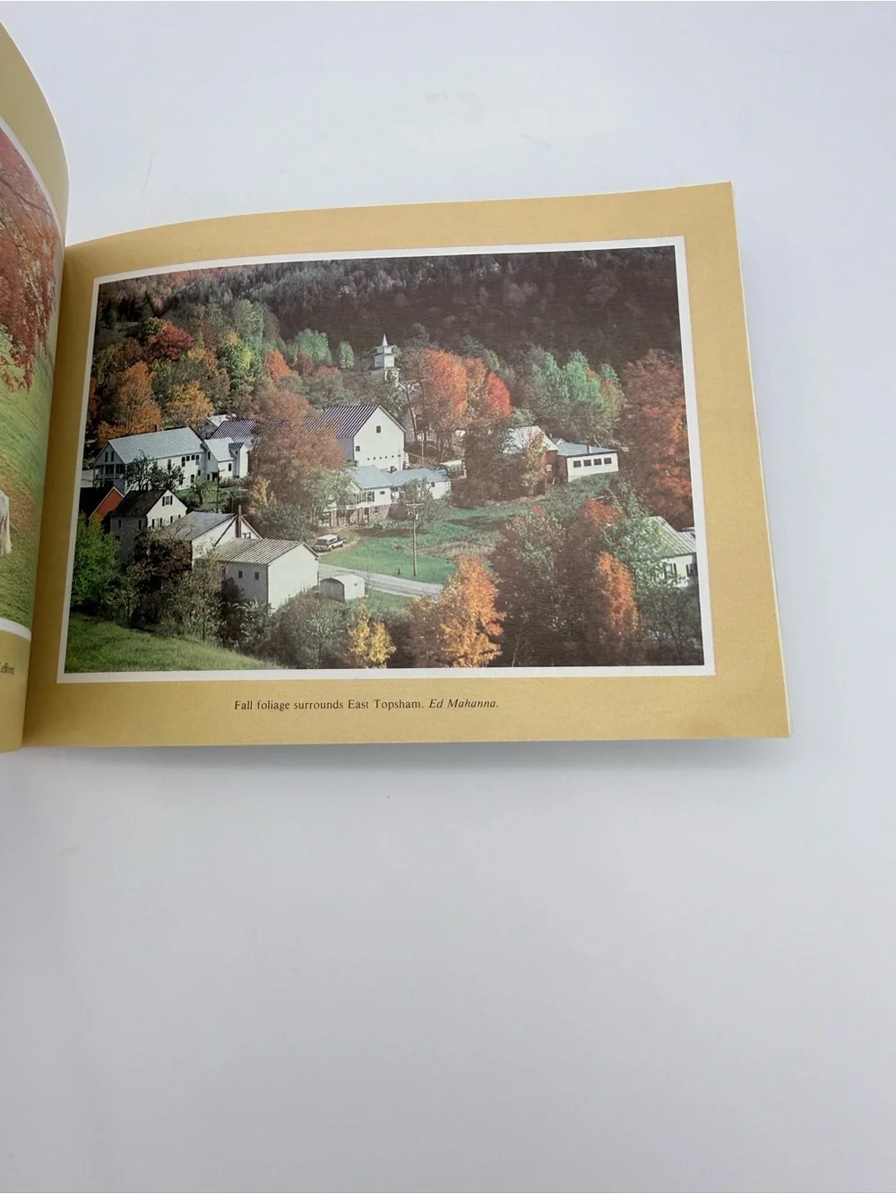 Vtg. 1984 Vermont Life’s Guide To Fall Foliage By Gale Lawrence PB Booklet